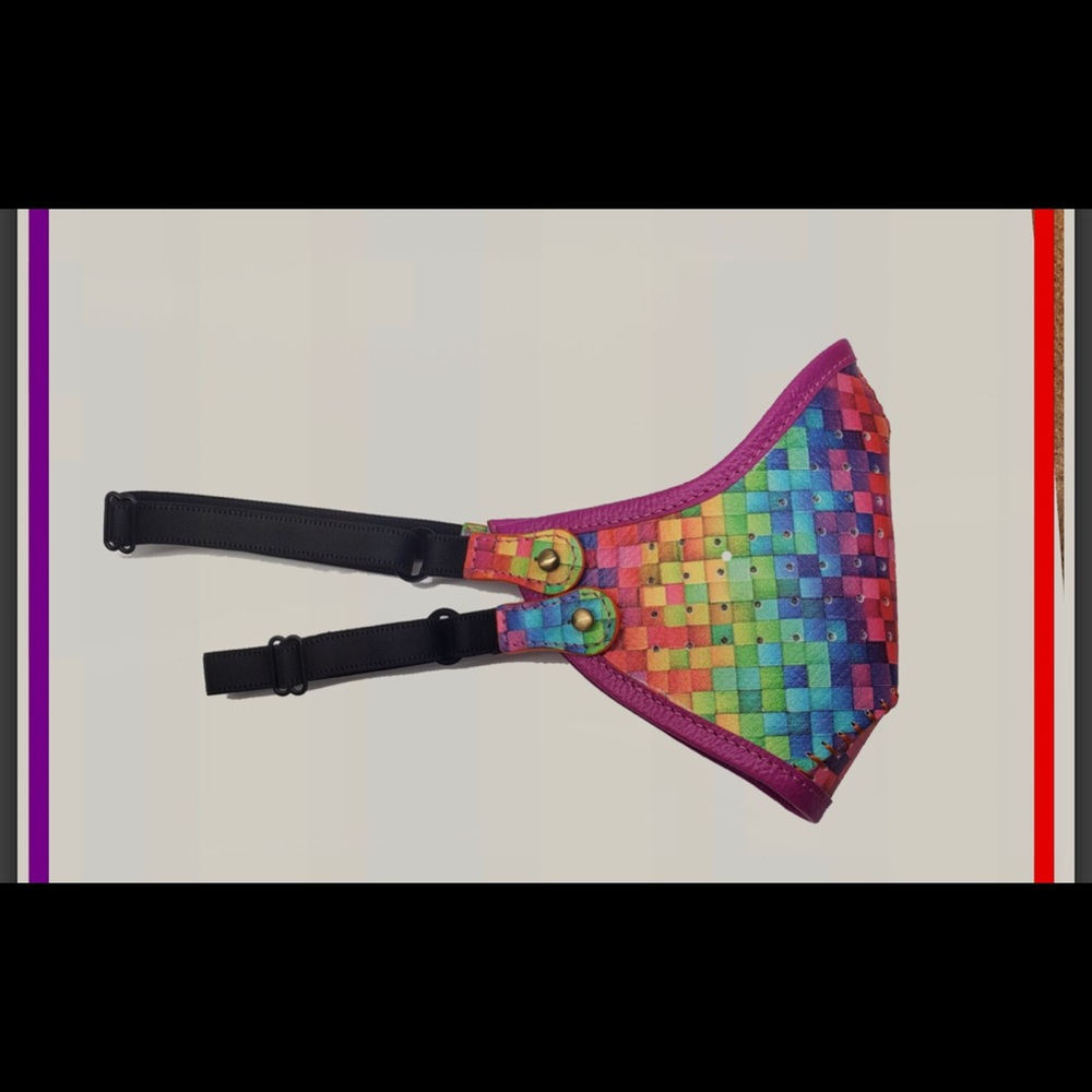 Project Runway Winner Rainbow Leather Face Mask